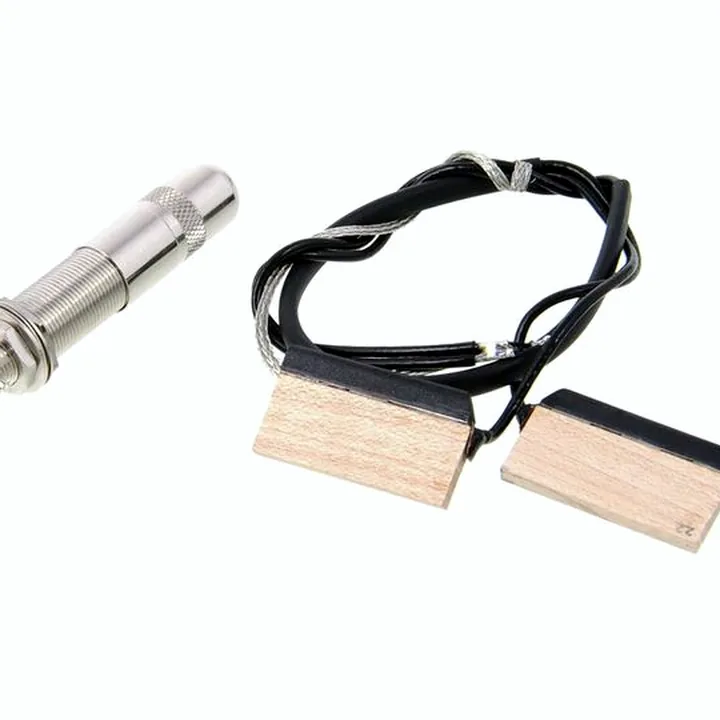 Test et Avis : Fishman Resophonic Spider