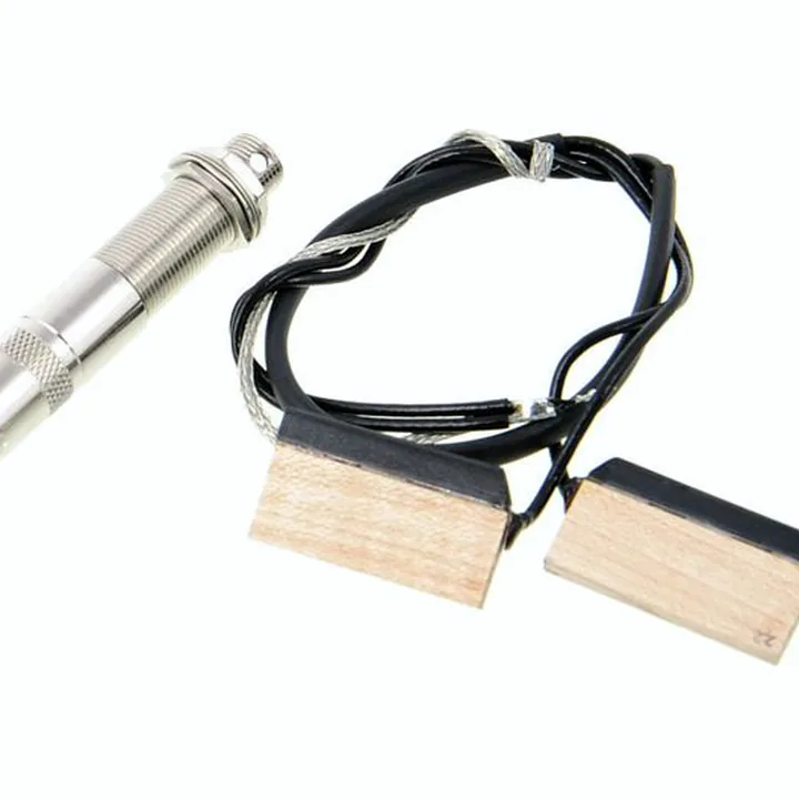 Test et Avis : Fishman Resophonic Spider
