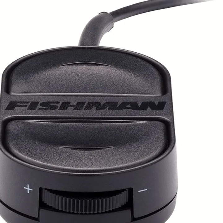 Test et Avis : Fishman Triple Play Express