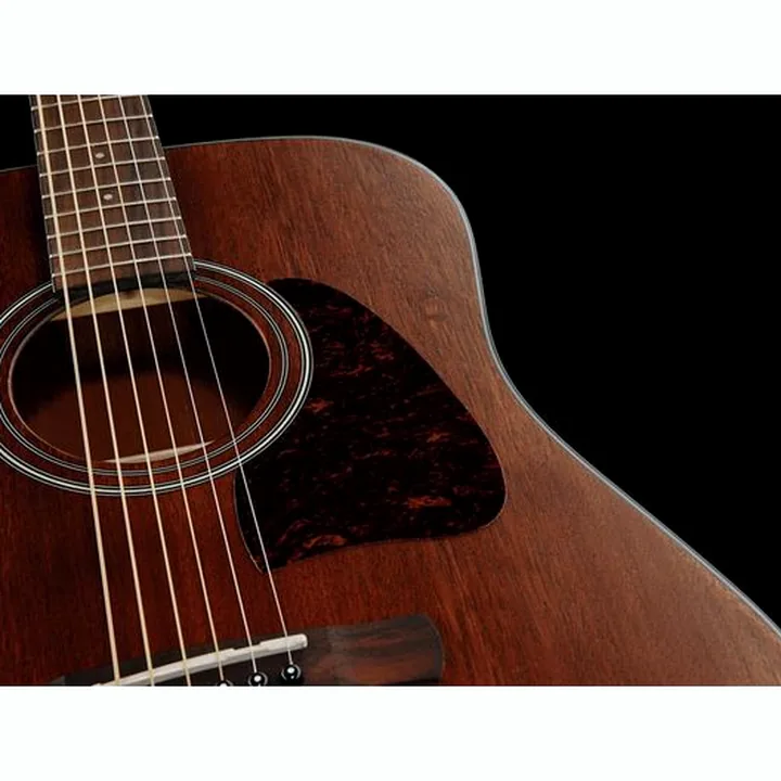 Test et Avis Guitare acoustique Ibanez AW54-OPN