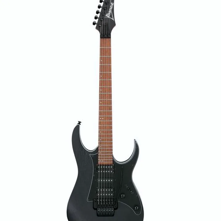Guitare électrique Ibanez RG450B-WK