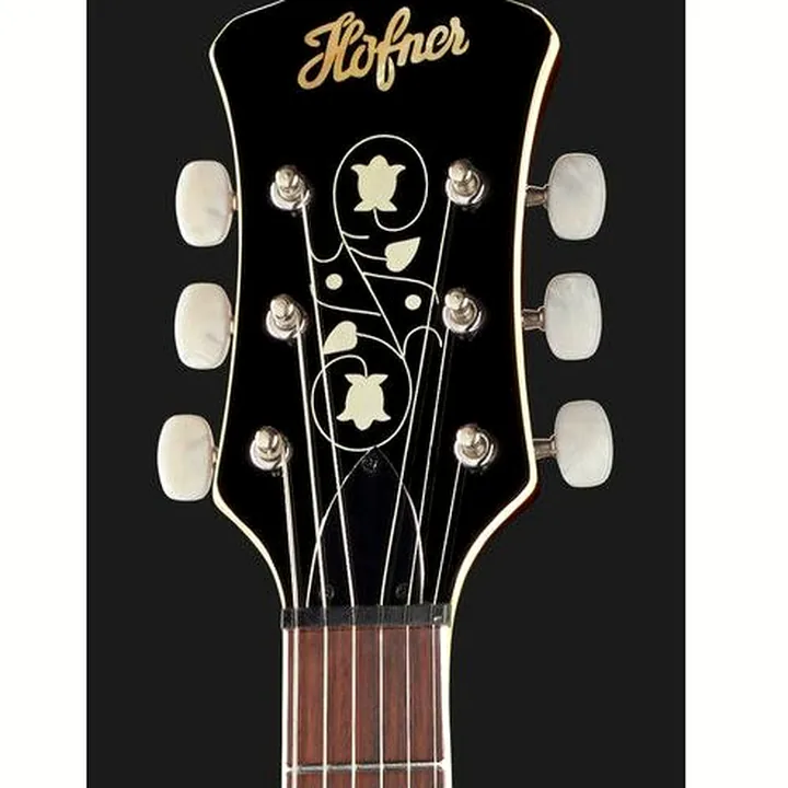 Test et Avis Guitare Epiphone Wildkat AN
