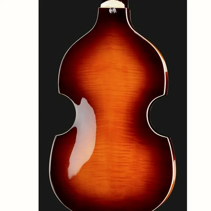 Test et Avis Guitare Epiphone Wildkat AN