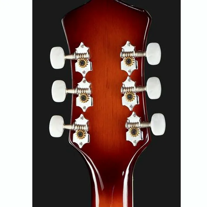 Test et Avis Guitare Epiphone Wildkat AN