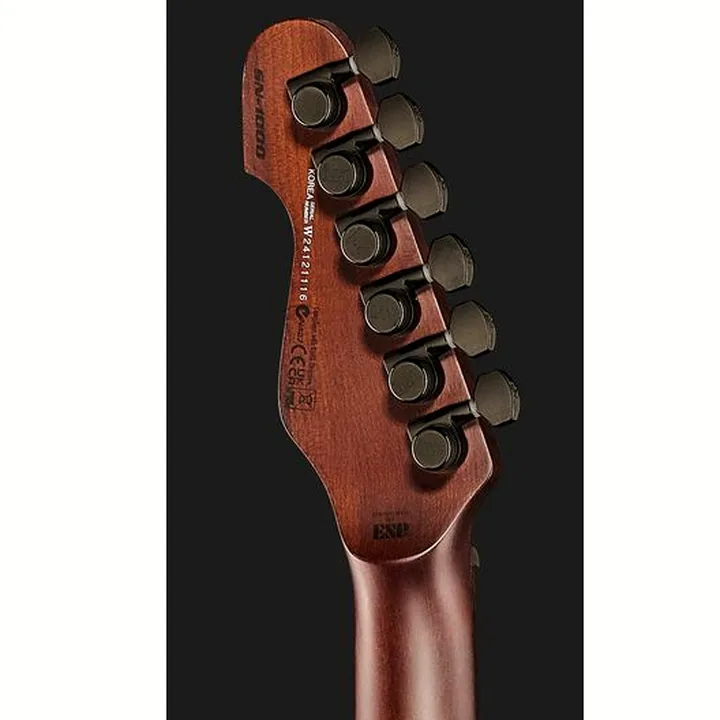Test et Avis Guitare ESP LTD SN-1000 HT Silver Blast