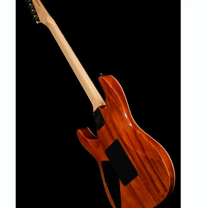 Test et Avis Guitare ESP M-II FR DLX SC SD BH HELLFIRE