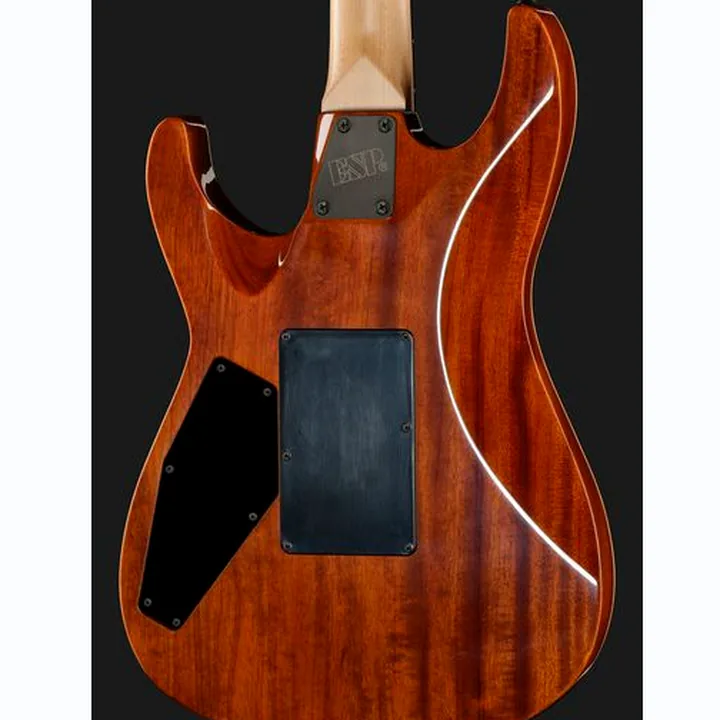 Test et Avis Guitare ESP M-II FR DLX SC SD BH HELLFIRE