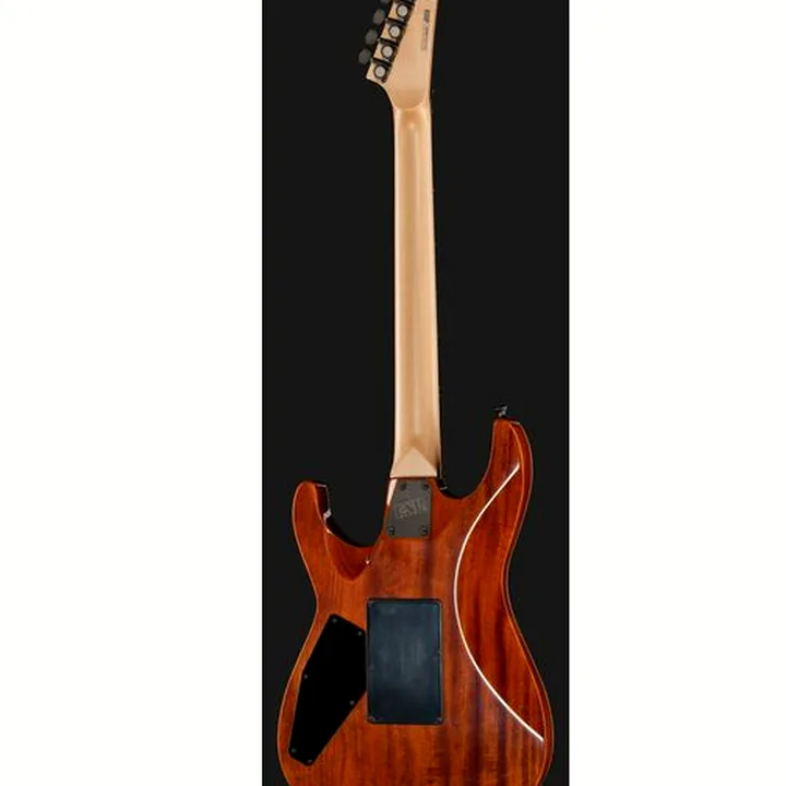 Test et Avis Guitare ESP M-II FR DLX SC SD BH HELLFIRE