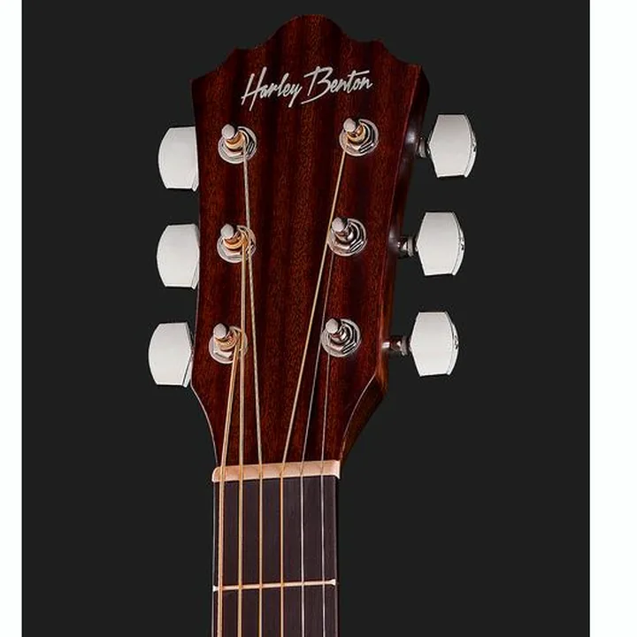 Test et Avis : Harley Benton Delta Blues MJCE