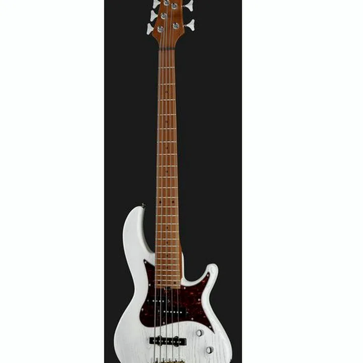 Test et Avis Harley Benton JP-55OP White Bundle