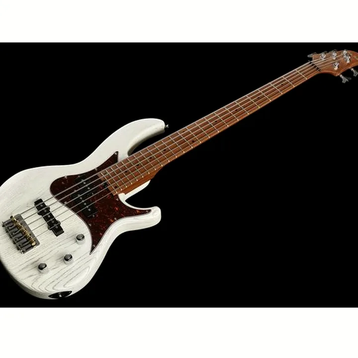 Test et Avis Harley Benton JP-55OP White Bundle