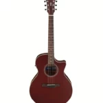 Test et Avis : Ibanez AE100-BUF