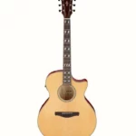 Test et Avis : Ibanez AE170-NTR