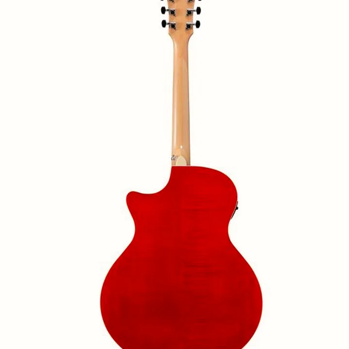 Test et Avis : Ibanez AE170-NTR