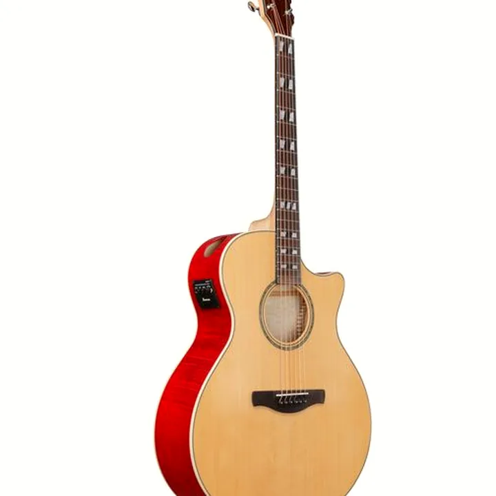 Test et Avis : Ibanez AE170-NTR