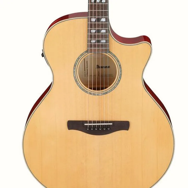 Test et Avis : Ibanez AE170-NTR