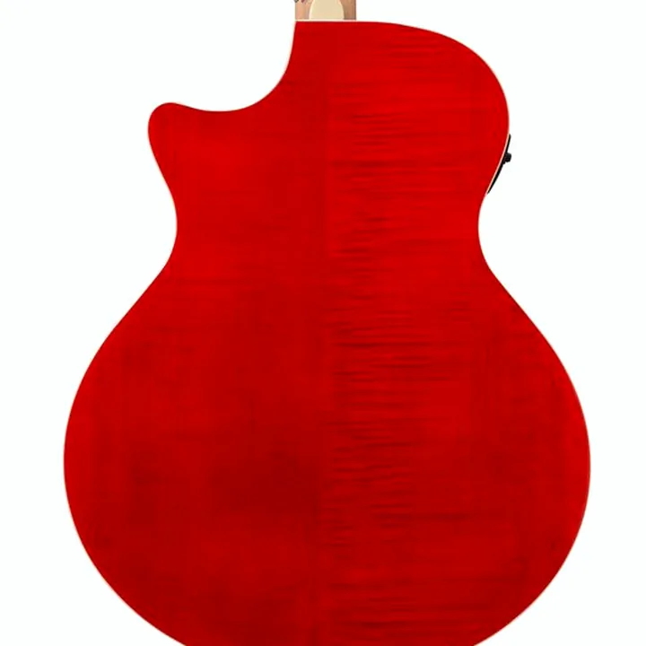 Test et Avis : Ibanez AE170-NTR