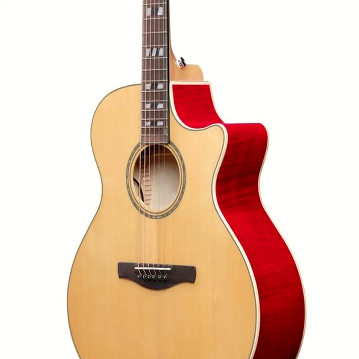 Test et Avis : Ibanez AE170-NTR