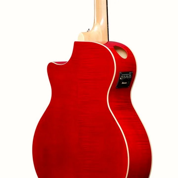 Test et Avis : Ibanez AE170-NTR