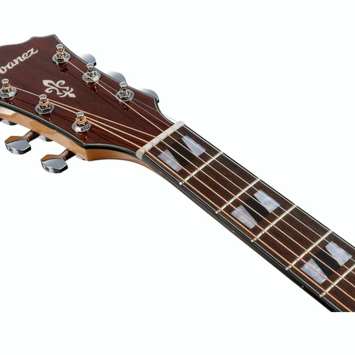Test et Avis : Ibanez AE170-NTR