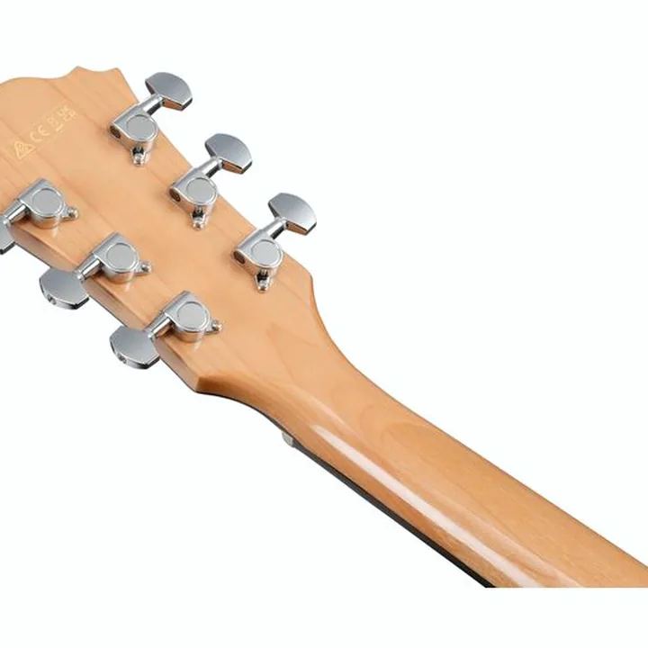 Test et Avis : Ibanez AE170-NTR