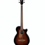 Test et Avis Ibanez AEGB24FE-MHS Fretless