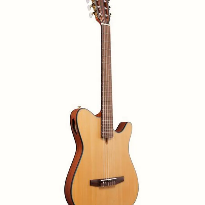 Test et Avis Ibanez FRH10N-NTF