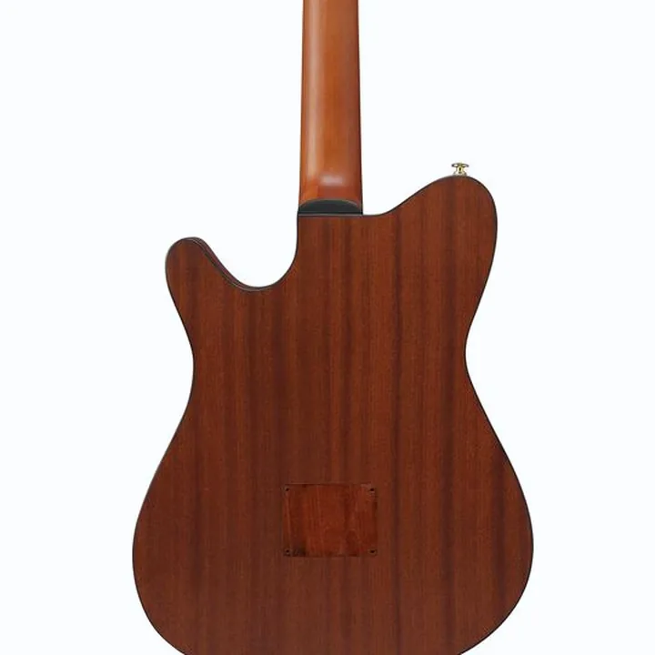 Test et Avis Ibanez FRH10N-NTF