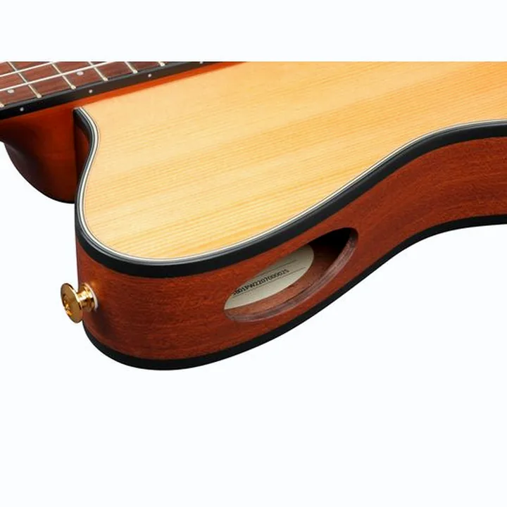Test et Avis Ibanez FRH10N-NTF