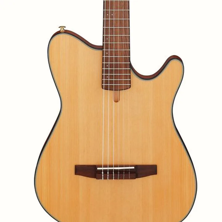Test et Avis Ibanez FRH10N-NTF