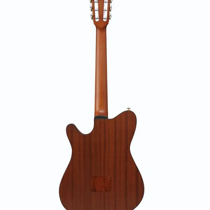 Test et Avis Ibanez FRH10N-NTF