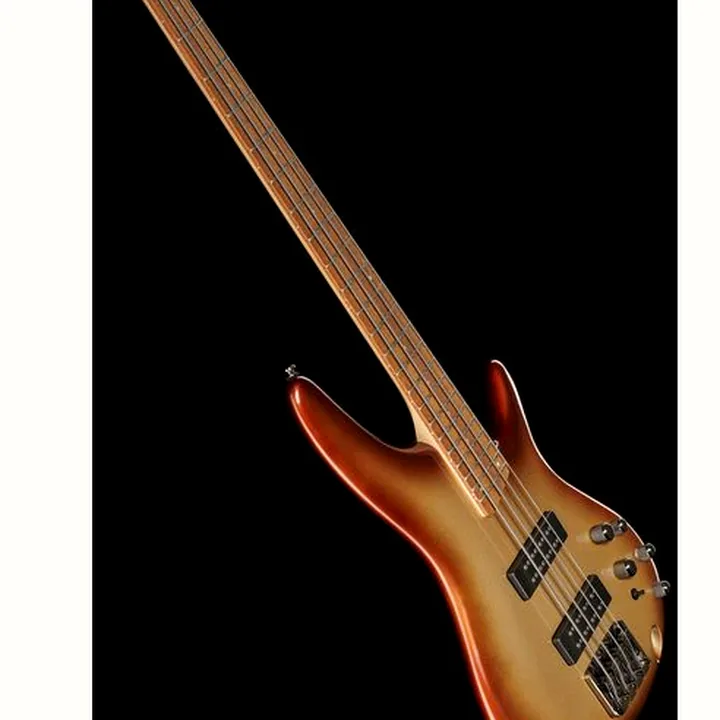 Test et Avis Ibanez SR300E-CCB