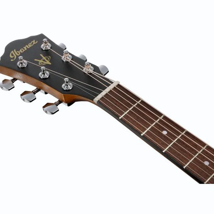 Test et Avis : Ibanez V40CE-OPN LH