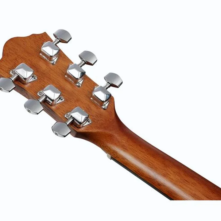 Test et Avis : Ibanez V40CE-OPN LH
