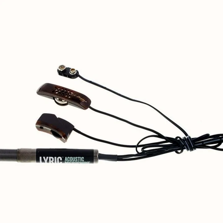 Test et Avis : L.R.Baggs Lyric Microphone