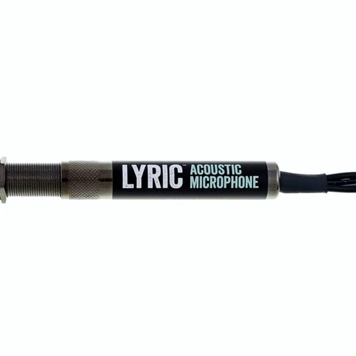 Test et Avis : L.R.Baggs Lyric Microphone