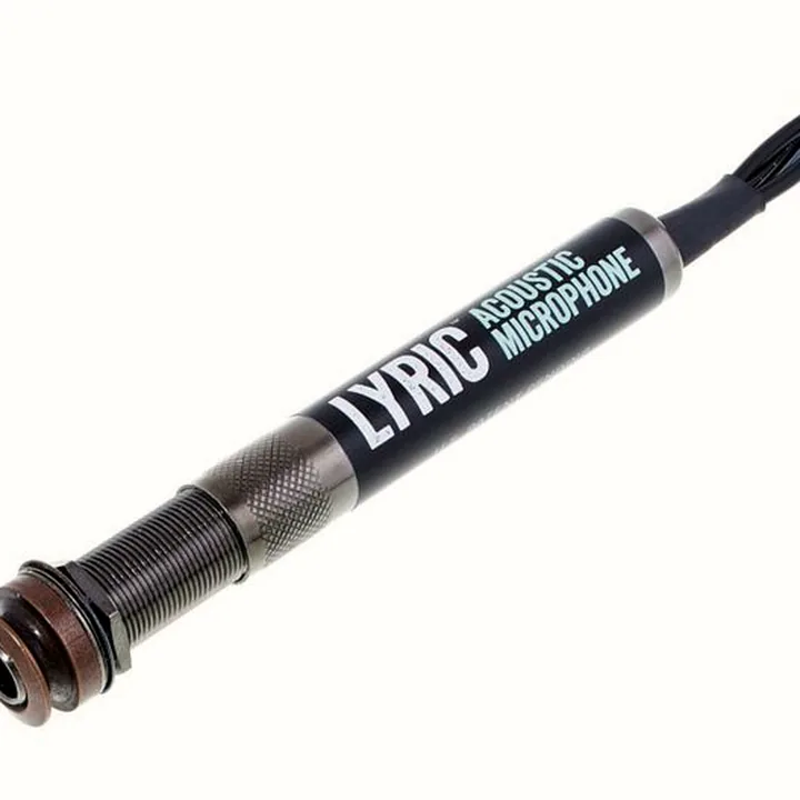 Test et Avis : L.R.Baggs Lyric Microphone