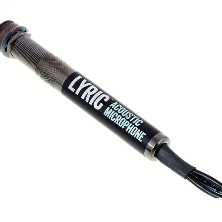 Test et Avis : L.R.Baggs Lyric Microphone