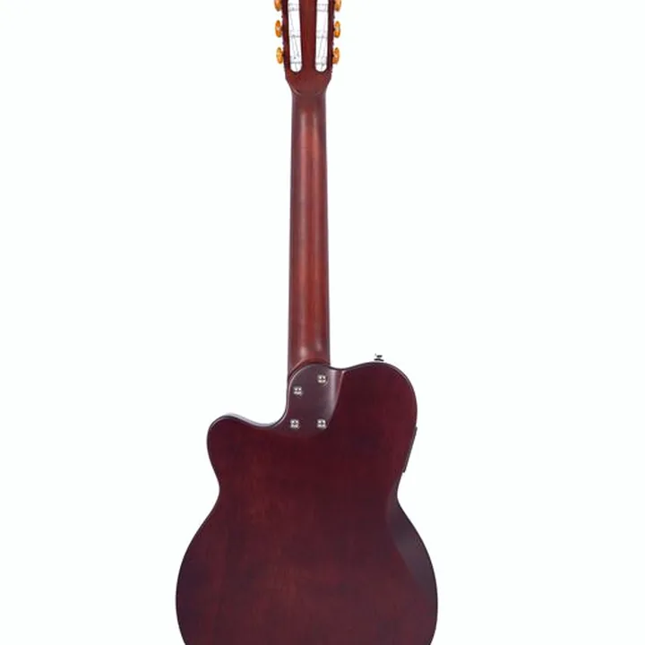 Test et Avis : Larry Carlton G5N Tobacco Sunburst