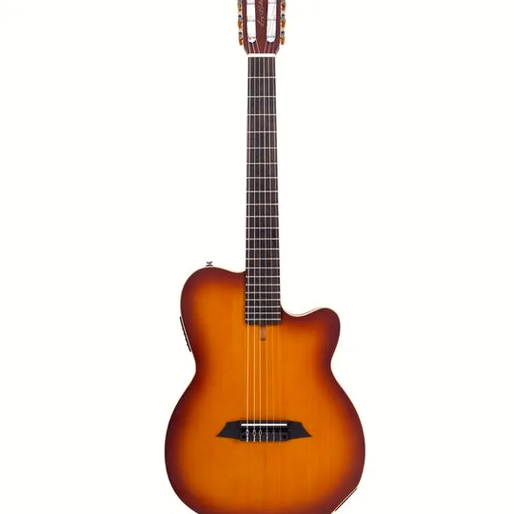 Test et Avis : Larry Carlton G5N Tobacco Sunburst