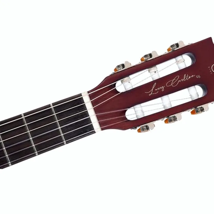Test et Avis : Larry Carlton G5N Tobacco Sunburst