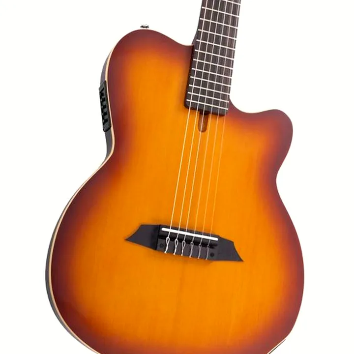 Test et Avis : Larry Carlton G5N Tobacco Sunburst