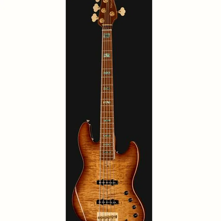 Test et Avis : Marcus Miller V10DX-5 TS