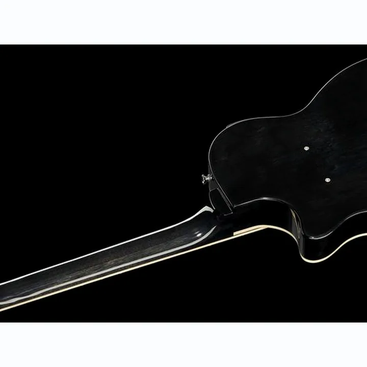 Test et Avis : Mooer GTRS Guitars int. Prof. 800 DS