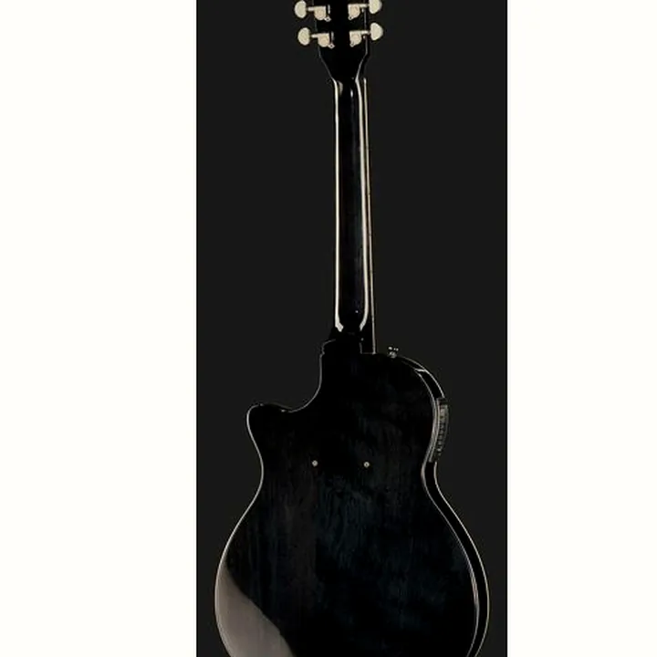 Test et Avis : Mooer GTRS Guitars int. Prof. 800 DS
