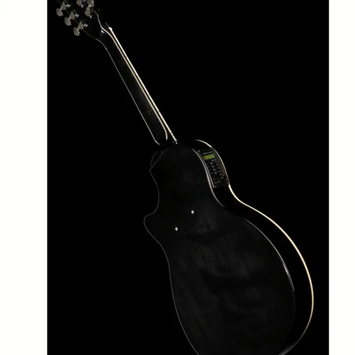Test et Avis : Mooer GTRS Guitars int. Prof. 800 DS