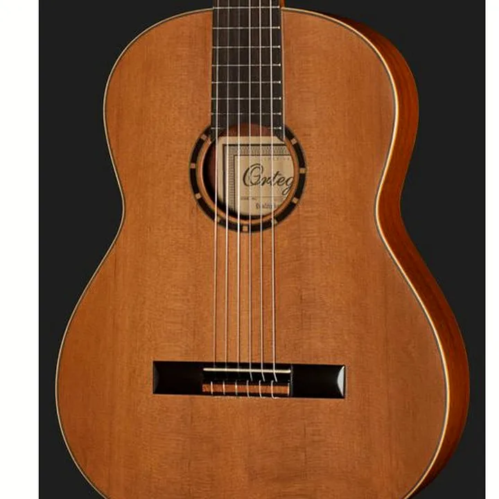 Test et Avis : Ortega R131L