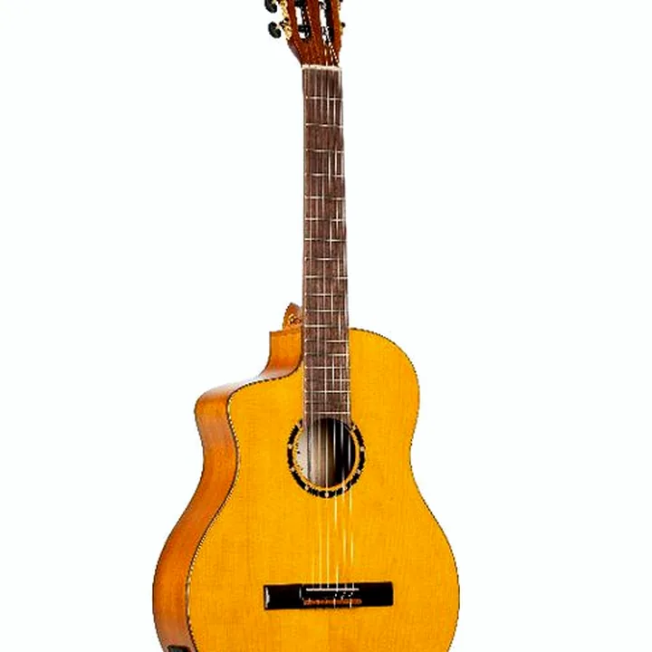 Ortega RCE170F-L