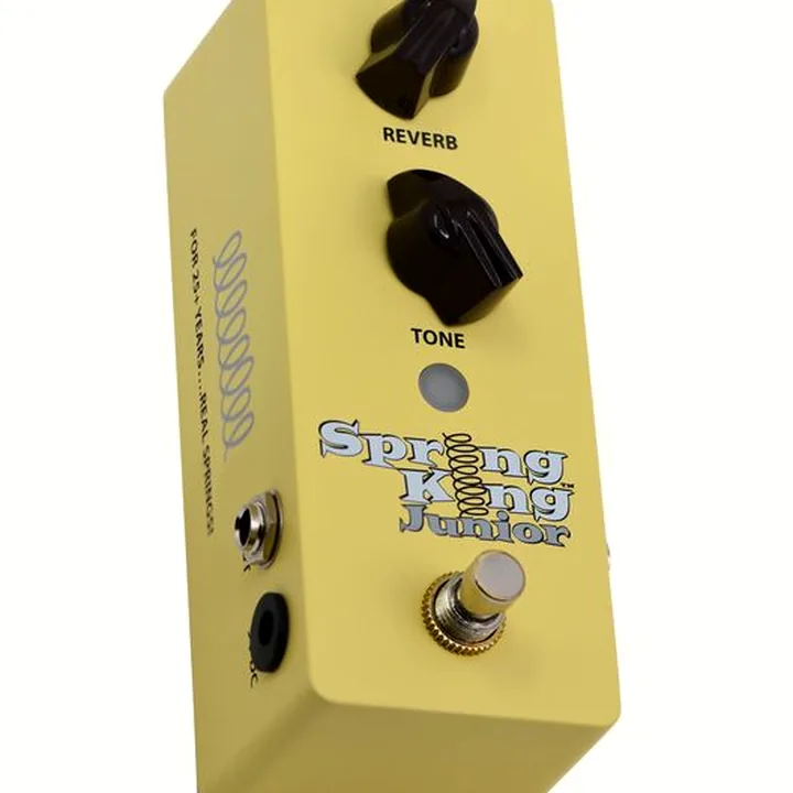 Test et Avis Pédale Danelectro SKJ-1 Spring King Junior