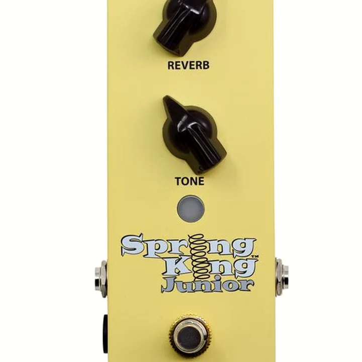 Test et Avis Pédale Danelectro SKJ-1 Spring King Junior